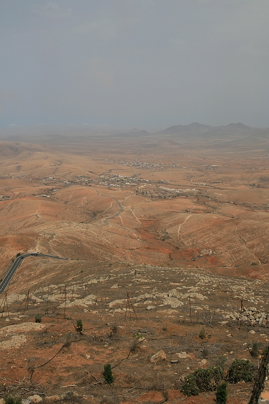 Kanary_2010 172